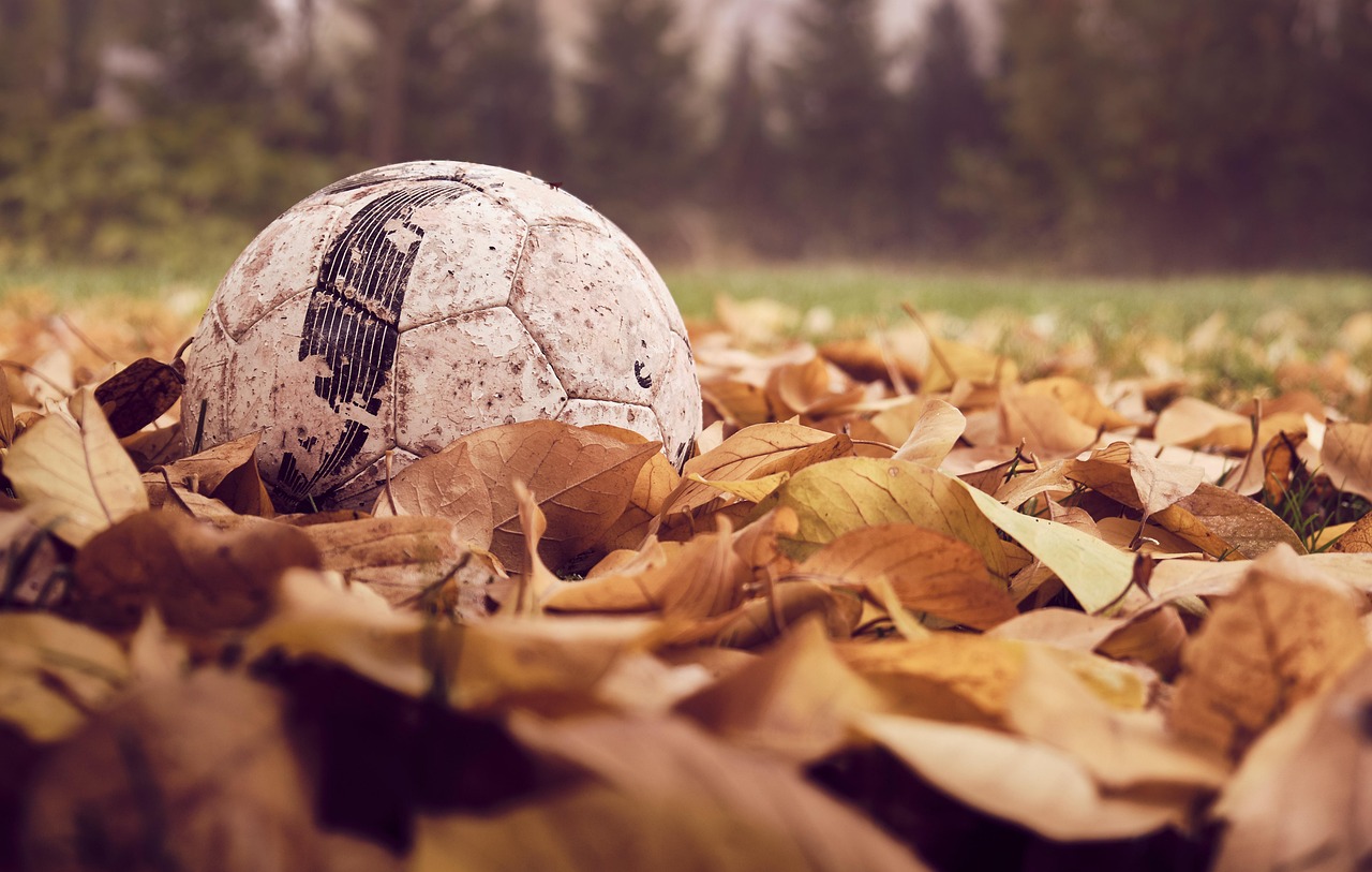 Vincennes Youth Soccer Registration is Underway